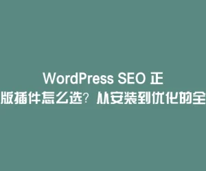 WordPress SEO 正版插件怎么选？从安装到优化的全攻略