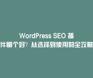 WordPress SEO 插件哪个好？从选择到使用的全攻略