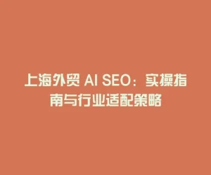上海外贸 AI SEO：实操指南与行业适配策略