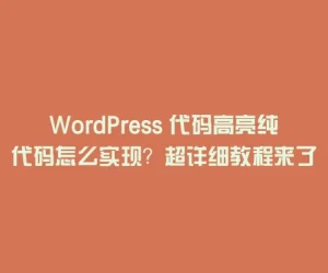 WordPress 代码高亮纯代码怎么实现？超详细教程来了