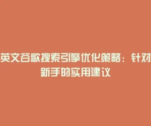 英文谷歌搜索引擎优化策略：针对新手的实用建议