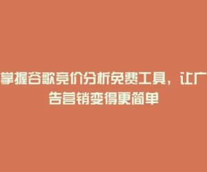 掌握谷歌竞价分析免费工具，让广告营销变得更简单