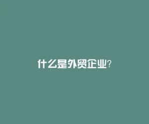 什么是外贸企业？