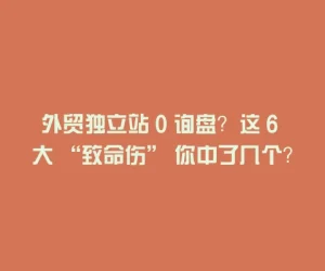 外贸独立站 0 询盘？这 6 大 “致命伤” 你中了几个？