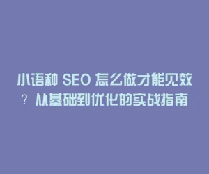 小语种 SEO 怎么做才能见效？从基础到优化的实战指南
