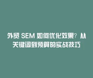 外贸 SEM 如何优化效果？从关键词到预算的实战技巧