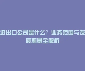 进出口公司是什么？业务范围与发展前景全解析