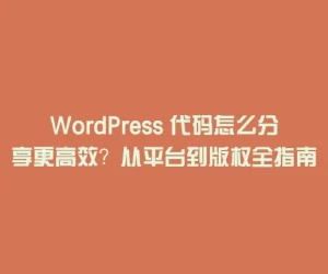 WordPress 代码怎么分享更高效？从平台到版权全指南