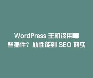 WordPress 主机该用哪些插件？从性能到 SEO 的实用推荐