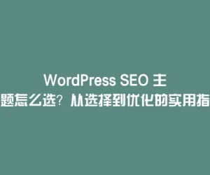 WordPress SEO 主题怎么选？从选择到优化的实用指南