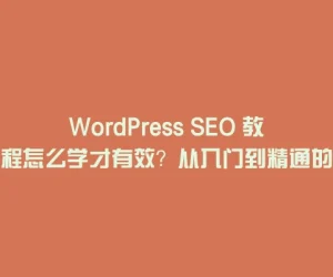 WordPress SEO 教程怎么学才有效？从入门到精通的实操步骤