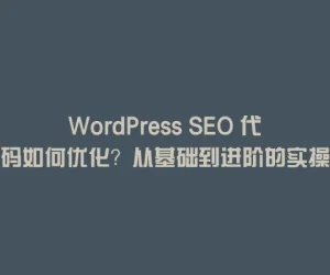 WordPress SEO 代码如何优化？从基础到进阶的实操指南