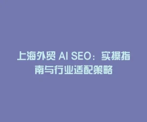 上海外贸 AI SEO：实操指南与行业适配策略