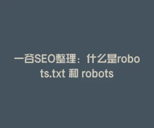 一谷SEO整理：什么是robots.txt 和 robots meta 标签以及它们的写法是什么？