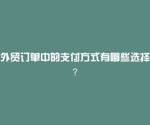 外贸订单中的支付方式有哪些选择？