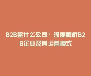 B2B是什么公司？深度解析B2B企业及其运营模式