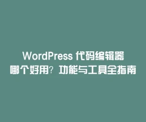 WordPress 代码编辑器哪个好用？功能与工具全指南