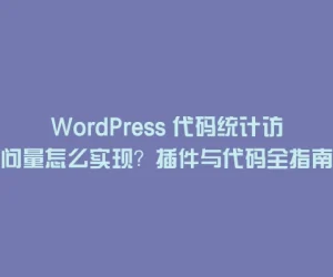 WordPress 代码统计访问量怎么实现？插件与代码全指南