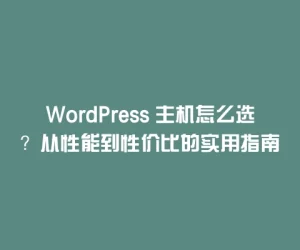WordPress 主机怎么选？从性能到性价比的实用指南