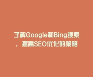 了解Google和Bing搜索，提高SEO优化的策略