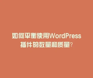 如何平衡使用WordPress插件的数量和质量？