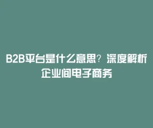 B2B平台是什么意思？深度解析企业间电子商务